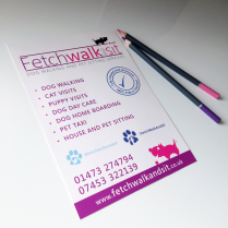 A5 Leaflet Print Fetch Walk and Sit