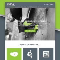 Avid Indoor Climbing Website Design Ipswich